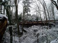 Bridge in Snow 